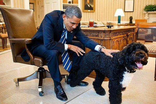 9. Başkan Obama, 2012 yılında köpeği "Bo" ile oval ofiste.