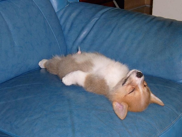 13. Или лежа на спине.