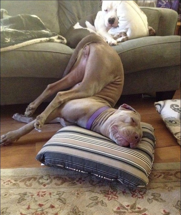 17. Или сползая с кресла на пол.