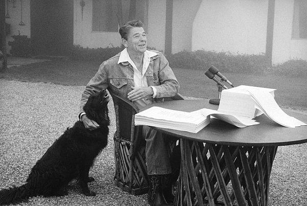 12. Ronald Reagan, bir basın toplantısı sırasında köpeği Millie tarafından ziyaret edildiğinde. (1981)