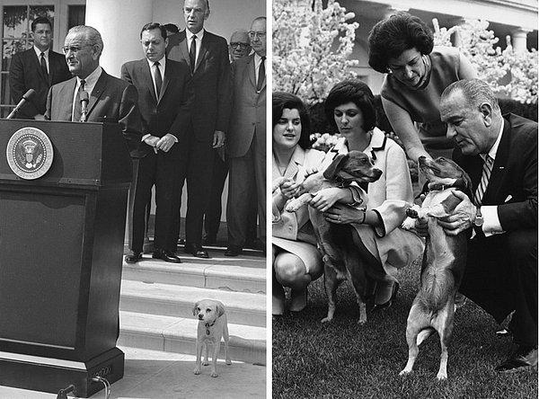 14. Lyndon B. Johnson "Yuki" isimli köpeği ile (sol). İki sevimli Beagle'ı Him ve Her ile birlikte (sağ).