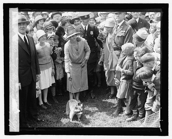 15. Başkan Yardımcısı Calvin Coolidge'in eşi Grace Coolidge, ev hayvanları rakun "Rebecca" ile 1921 yılında.