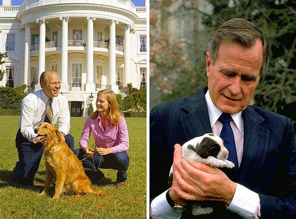 18. Başkan Gerald Ford ve kızı köpekleriyle birlikte (sol). Baba Bush, yeni doğmuş köpekleriyle birlikte (sağ).