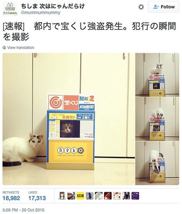 8. Этот пронырливый дуэт ограбил лотерейный киоск Токио.