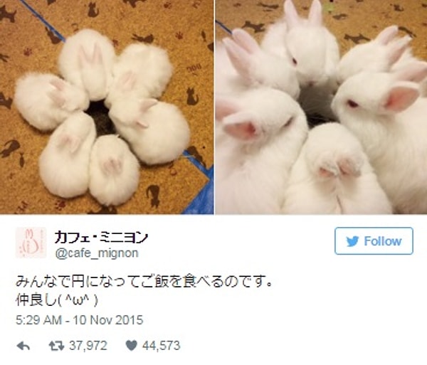 4. Играем в гляделки.