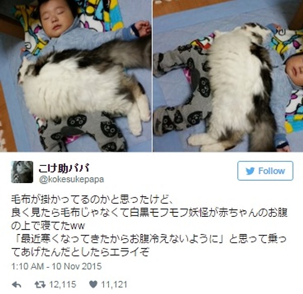 5. Этот пушистый монстр использует ребенка, как подушку.