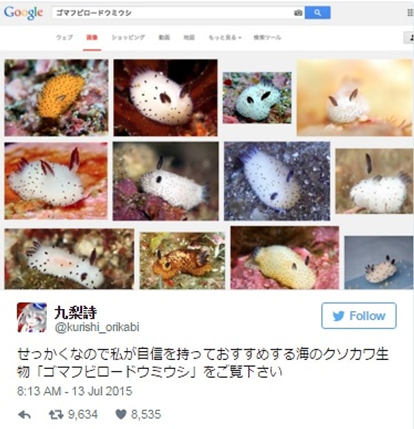 17. У этой девушки впечатляющая коллекция морских слизняков.