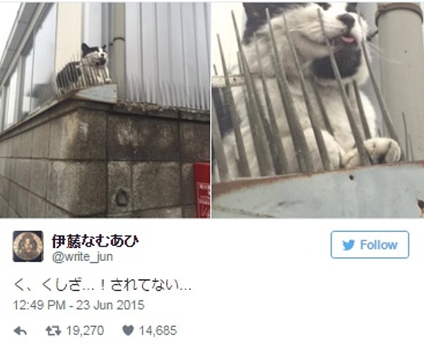 19. Лучшее место, чтобы немного поспать.