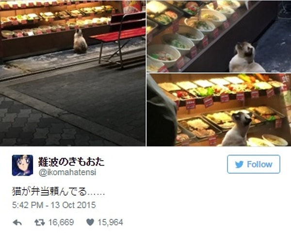 9. «Не могу решить, что же выбрать: все такое вкусное».