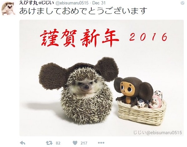 14. Ежик-чебурашка. Ня! 😍