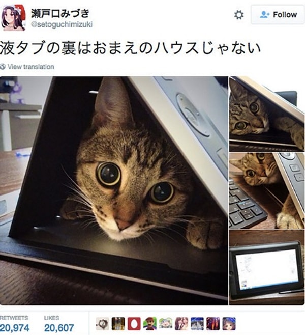 16. «Я в домике».