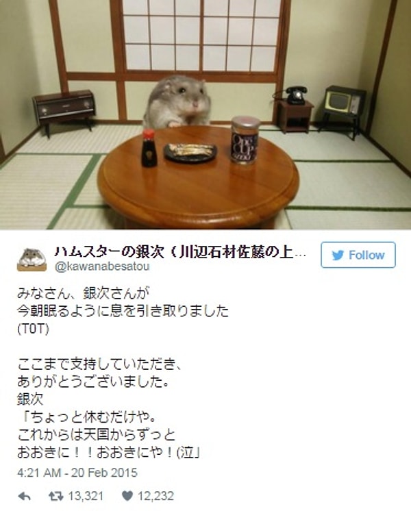 25. Хорошо устроился!