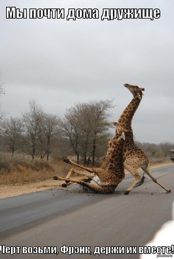 8. Когда ты пьян в хламину, но вынужден тащить на себе друга, потому что он еще пьяней: