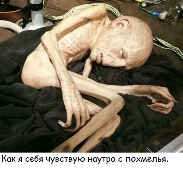 19. Я.БОЛЬШЕ.НИКОГДА.НЕ БУДУ.ПИТЬ.