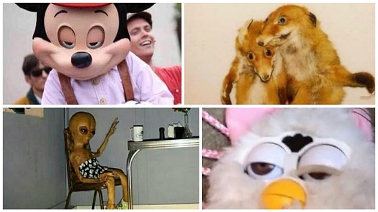 21 фото, знакомое каждому, кто не прочь выпить