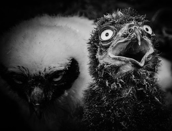 Кто-нибудь, на помощь!!!