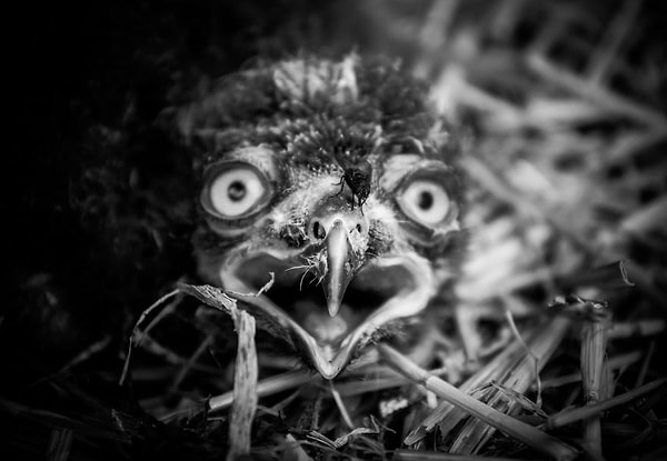 Вот дерьмо, опять на работу.