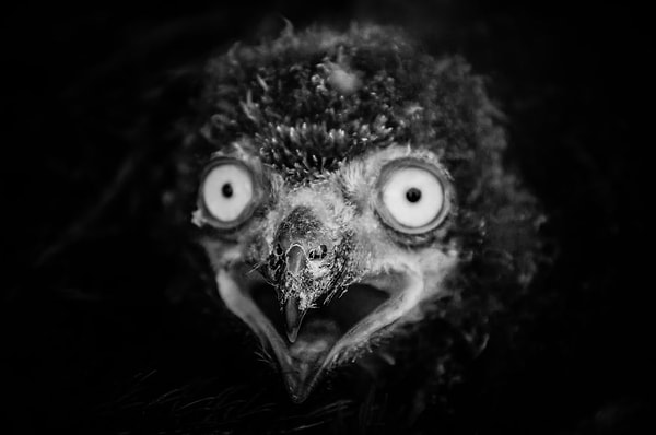 Нет, только не это, только не понедельник!!!