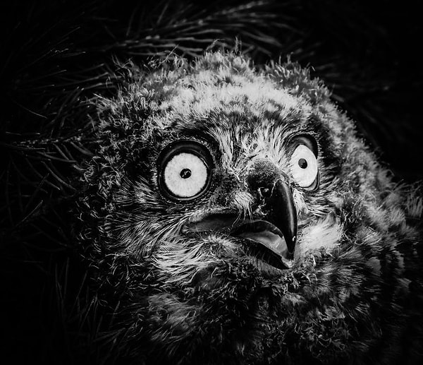 Аааа...Я уже вижу, как он надвигается!