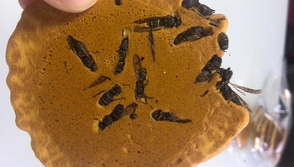 4. Все еще голодны? Тогда может быть печенье с начинкой из ос утолит ваш аппетит?