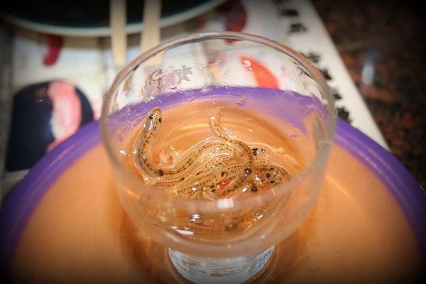 15. Или вы предпочитаете, чтобы ваша еда шевелилась? В таком случае, смело заказываете одори-гуи – живых мальков.