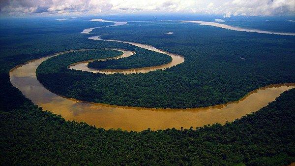 10. Amazon Nehri, kendinden sonra gelen en büyük 7 nehrin toplamından daha fazla su taşımaktadır.