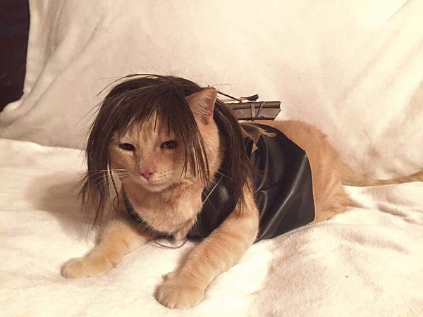 Посмотрел бы я на тебя в таком же костюме...