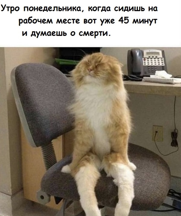 6. Понедельник, уйди, уйди! 😭