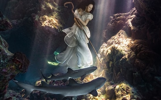 Модель привязали на дне океана среди живых акул