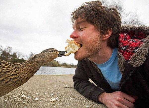 4. Allan hayvanları ağzıyla yemek yedirecek kadar çok seviyor.