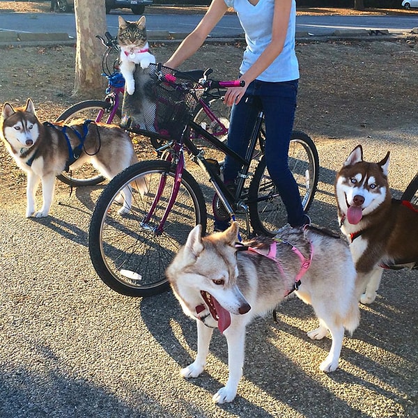 Хорошо быть принцессой.