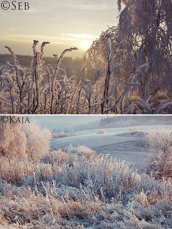 4. Мужчина сразу понял, что эти кадры непохожи на другие. Они буквально сотканы из вдохновения...