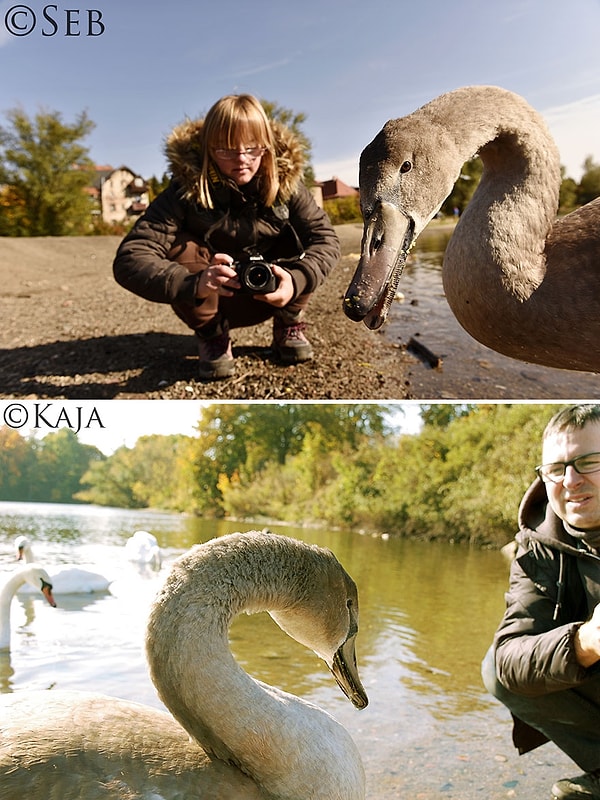 8. В какой-то момент Sebastian переводит обе камеры в автоматический режим.