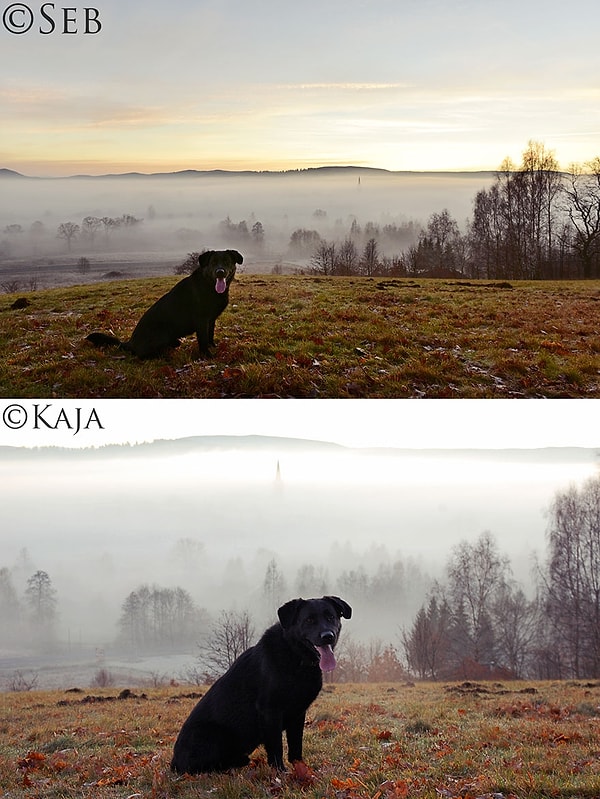 9. Чтобы условия были равными.