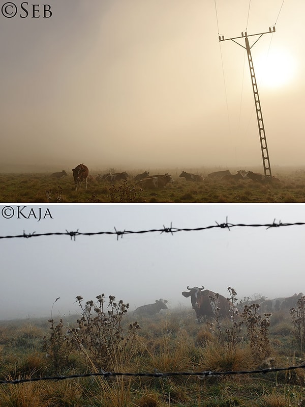 11. Но и в связи с критическим периодом в своей карьере. Спустя 5 лет он почувствовал, что зашел в тупик...