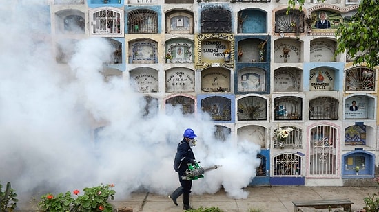 Güney Amerika'da Zika Virüsü Uyarısı: '2 Yıl Çocuk Yapmayın'