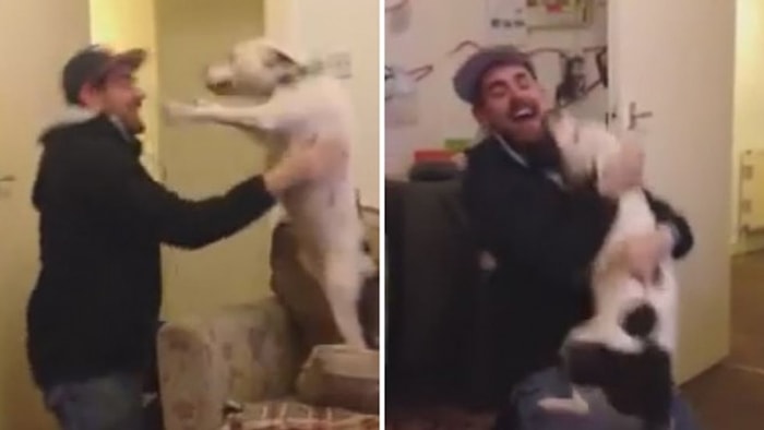 Sahibini Yeniden Gören Köpeğin Efsane Mutluluğu