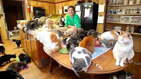 1100 Kedi ile Aynı Evi Paylaşan Dünyanın En Çılgın Kedi Kadını