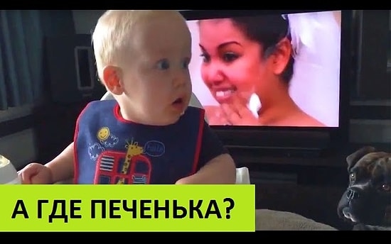 Малыш, отдавший последнюю печеньку собаке, невероятно сожалеет об этом 😃