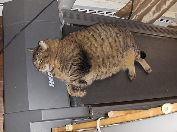 3. "Мы знаем толк в спорте"