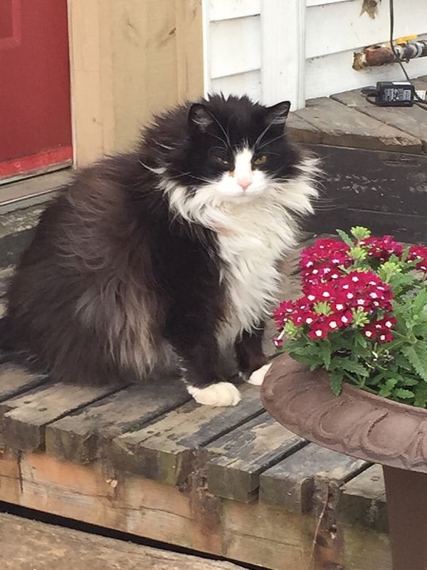 4. "Ужин должен быть плотным"