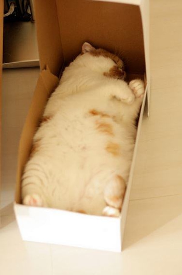 5. "И пусть весь мир подождет"