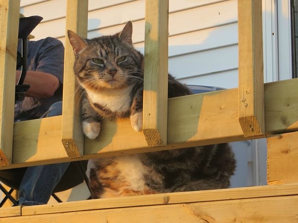 15. "Кто это там с моей девушкой?"