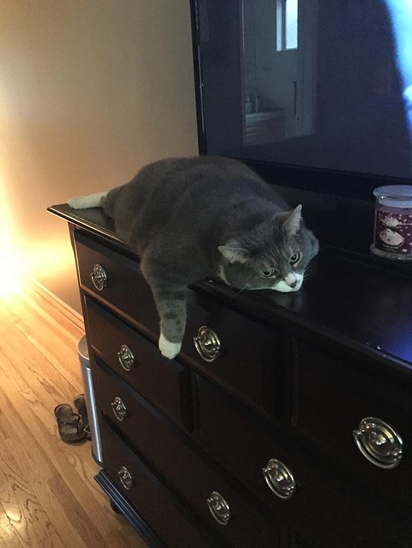 16. Дикий ангел