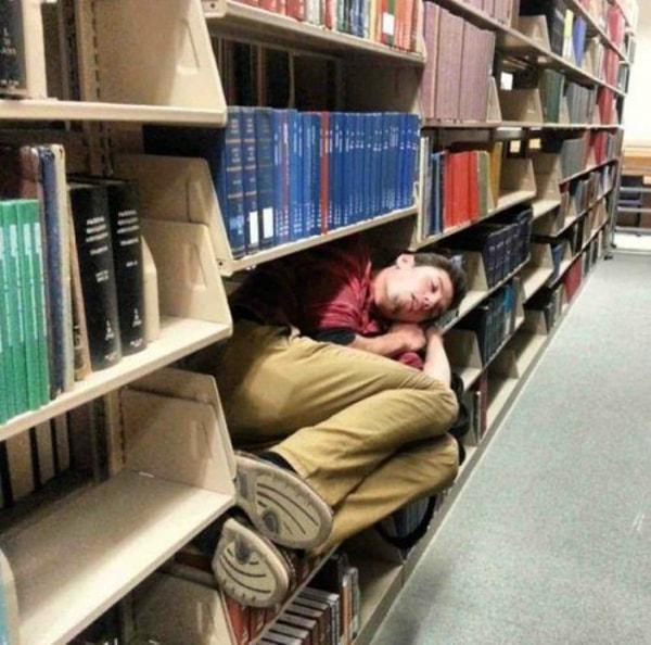 29. Now you know why libraries are their favorite places