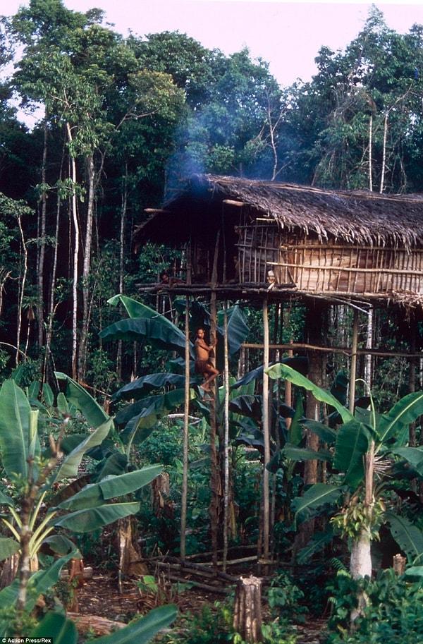 Sel gibi doğal afetlerden ve diğer tehlikelerden korunmak için 50 metre uzunluğundaki demir ağaçlarının üzerine evler inşa ediyorlar.