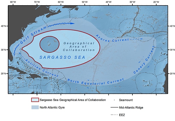 13. Саргассово море, единственное море не ограниченное континентами.