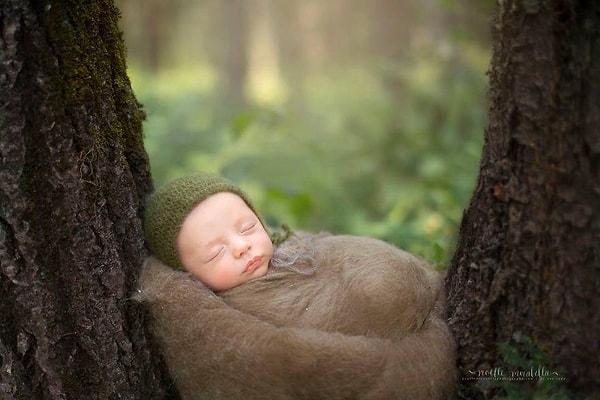 3. Сонное царство.