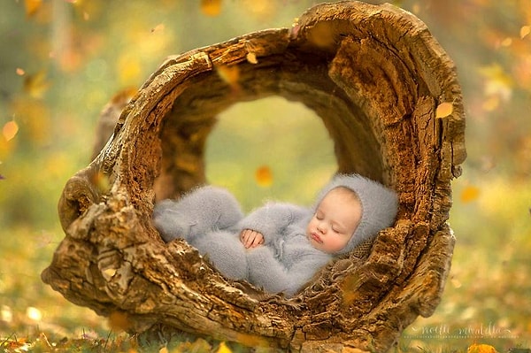 6. Спокойствие осени.