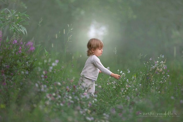 9. Охотник за цветами.